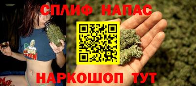 винт Новокубанск