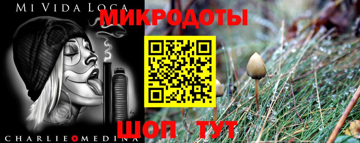 Нягань  Псилоцибиновые грибы Psilocybe  Вход с VPN 