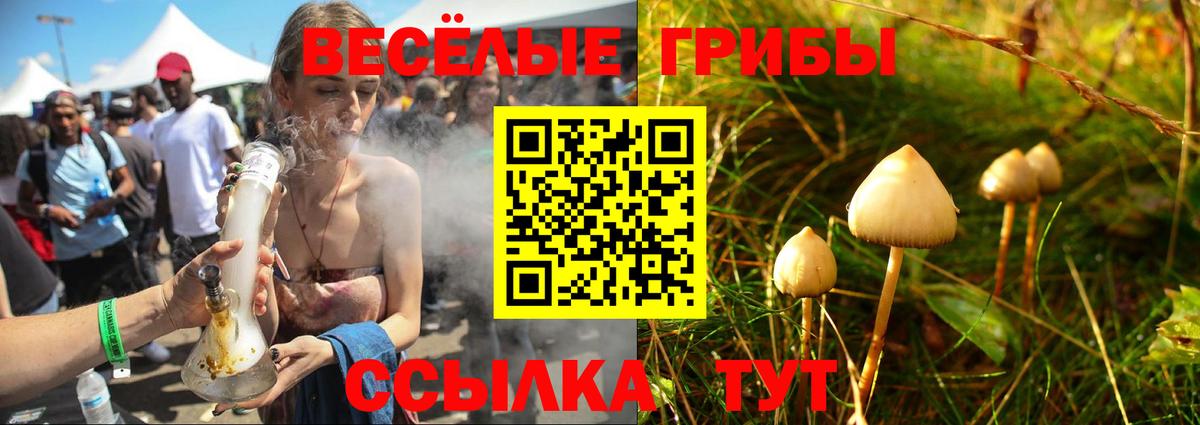 Псилоцибиновые грибы Psilocybine cubensis Нягань